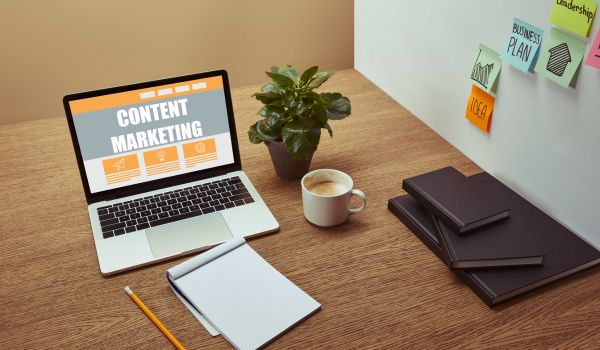 Vida - Digital Marketing Course in Raipur | Digital Marketing Institute in Raipur | Digital Marketing Academy in Raipur